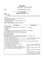 GIAO AN LOP 5 TUAN 8 CHUAN KTKN(H)