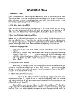 tong hop NGÂN HÀNG CDNA