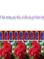 tình thái từ mới(cục hay)chi tiết
