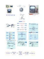 Hình chen GA cong gnhe 9