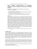 Water Pollution Characterization by Pathogenic Indicators in Water Runoff in the Downtown of Hanoi, Vietnam