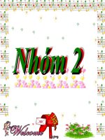 môi trường con người