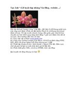 Tao anh dong cho WEb.doc