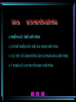 Bài 26. Sự di truyền giới tinh