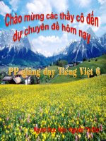 chuyên đề : Tập huấn chuyên môn hè 2009