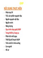 NỘI DUNG thực hiện GMP (SX TP)