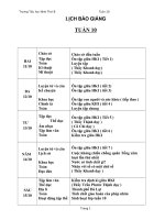 GIAO AN LOP 4- TUAN 10 CKTKN