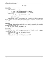 Đề thi học sinh giỏi toán 6