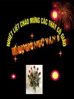 Văn bản: Đạp đá ở Côn Lôn