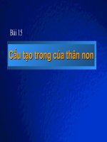 Bai 15_C.tao trong cua than non