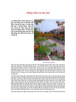 Những Niềm Vui Nho Nhỏ