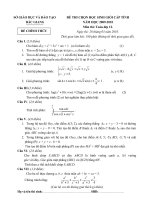 Đề và đáp án HSG toán 12 Bắc Giang 2010