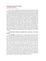 chi tiết đặc tả trong sử thi