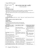 Giáo an tuan 8 chuan ktkn