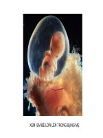 xem thai nhi từ bụng mẹ