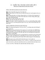 Đề thi HSG lớp 5 cấp Tỉnh