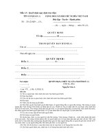 Mẫu Quyết định