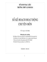 kế hoạch năm học tổ tự nhiên 2010-2011