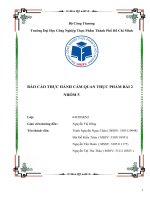 Báo cáo cảm  quan 2 