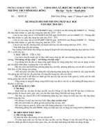 KẾ HOẠCH ĐỔI MỚI PHƯƠNG PHÁP 10-11