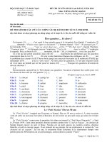 ĐỀ THI TUYỂN SINH CAO ĐẲNG NĂM 2013 Môn: TIẾNG PHÁP; Khối D mã đề  374 