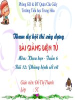 phòng bệnh sốt rét