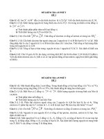 Kiểm tra 45 phút lần 1-Tự luận-2 đề