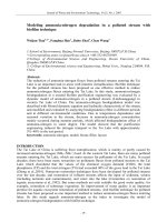 Modeling ammonia-nitrogen degradation in a polluted stream with biofilm technique