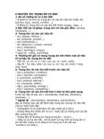 Nguyen tac danh trong am