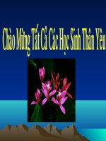 Tính Chất của Ôxi - Lưu huỳnh