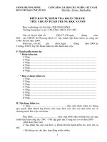 Biên ban tự kiểm tra 2010