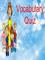 Vocabulary Quiz