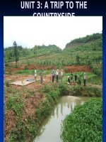 Unit 3: A trip to the countryside ( Read)
