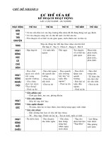 chu de nhanh - Tuan 2