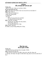 GIÁO ÁN BUỔI 2- LỚP 2