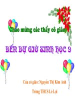 tiết 30-bai28.Phương pháp nghiên cứu di truyền người