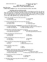 Đề kiểm tra giữa HKI