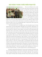 BÁO ĐỘNGTHANH THIẾU NIÊN PHẠM TỘI