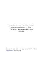 UNDERSTANDING CUSTOMER BEHAVIOR OF MULTIPLE BORROWING THROUGH PROSPECT THEORY 