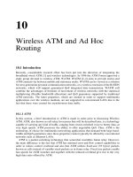 Wireless ATM and Ad Hoc Routing