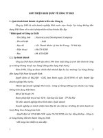 GIỚI THIỆU KHÁI QUÁT VỀ CÔNG TY DAD