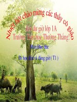 Dao duc 1_Di hoc deu va dung gio (T1)