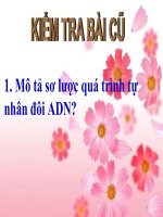 Sinh 9 - Tiết 17: Mối quan hệ giữa Gen và ADN