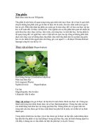 Hạt trần-hạt kín