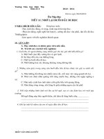 T Việt 3 Tuần 6 (Chiều)