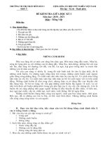 Đề KTGK I môn TV 5 ( Lâm Hòn Đất I)