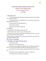 Giáo án mầm non (17)