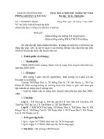 145/PGDĐT-GDTH ngày 28/7/2009 V/v điều chỉnh kế hoạch tập huấn Chuẩn kiến thức- Kĩ năng các môn học cấp tiểu học