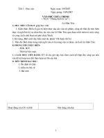 GIÁO ÁN NGỮ VĂN 11 NĂM HỌC 2009 - 2010 RẤT HAY