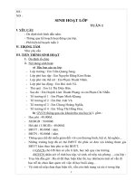 GIÁO ÁN CHỦ NHIỆM